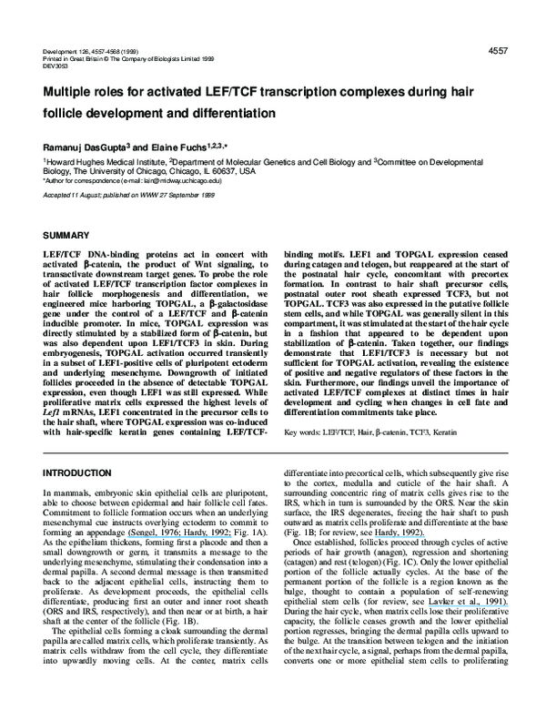 PDF) DasGupta, R. & Fuchs, E. Multiple roles for activated LEF/TCF  transcription complexes during hair follicle development and  differentiation. Development 126, 4557-4568 | Ramanuj Dasgupta -  Academia.edu