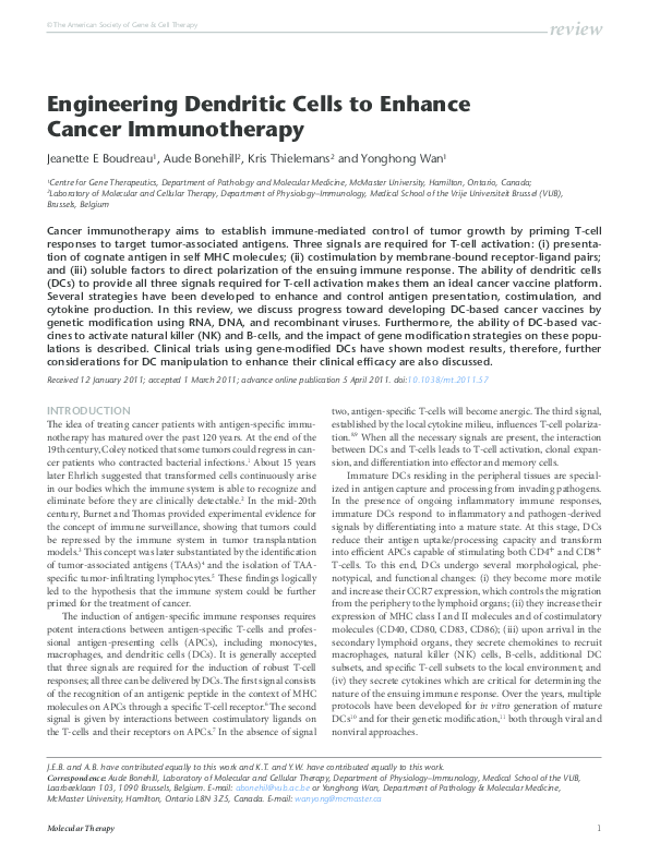 (PDF) Engineering Dendritic Cells to Enhance Cancer Immunotherapy