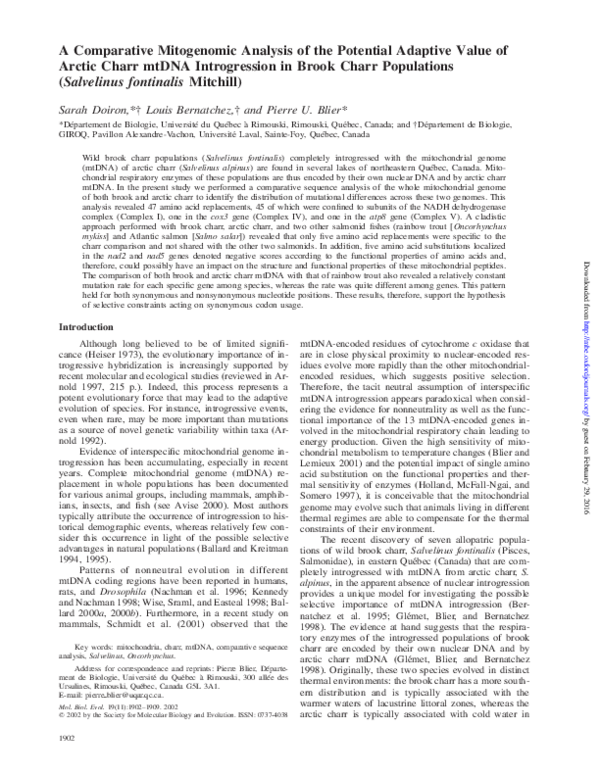 (PDF) A Comparative Mitogenomic Analysis of the Potential Adaptive ...