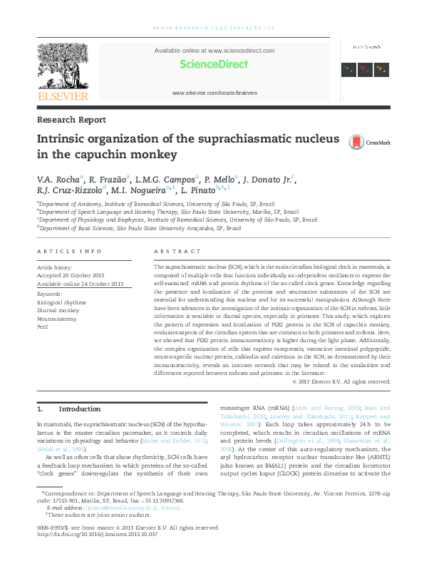 (PDF) Intrinsic organization of the suprachiasmatic nucleus in the ...