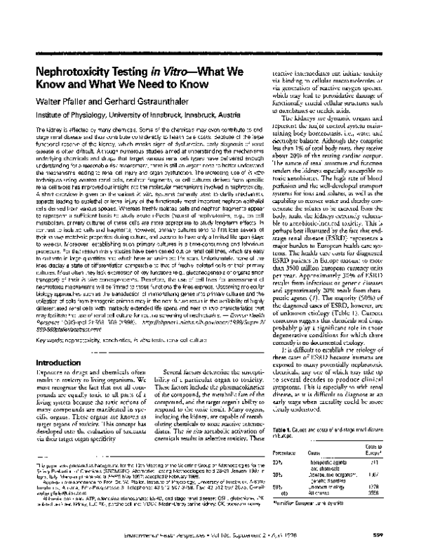 (PDF) Nephrotoxicity testing in vitro—what we know and what we need to know