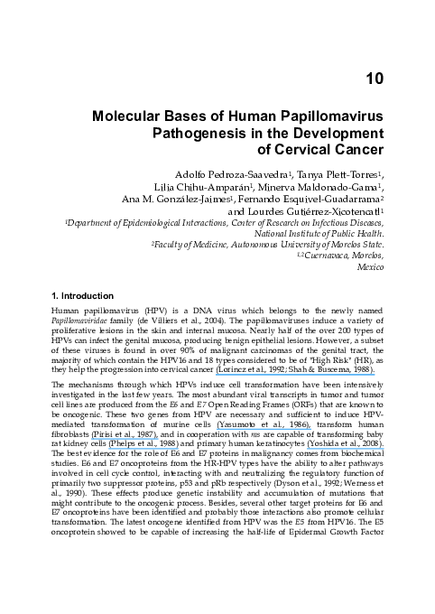 (PDF) Molecular Bases of Human Papillomavirus Pathogenesis in the ...