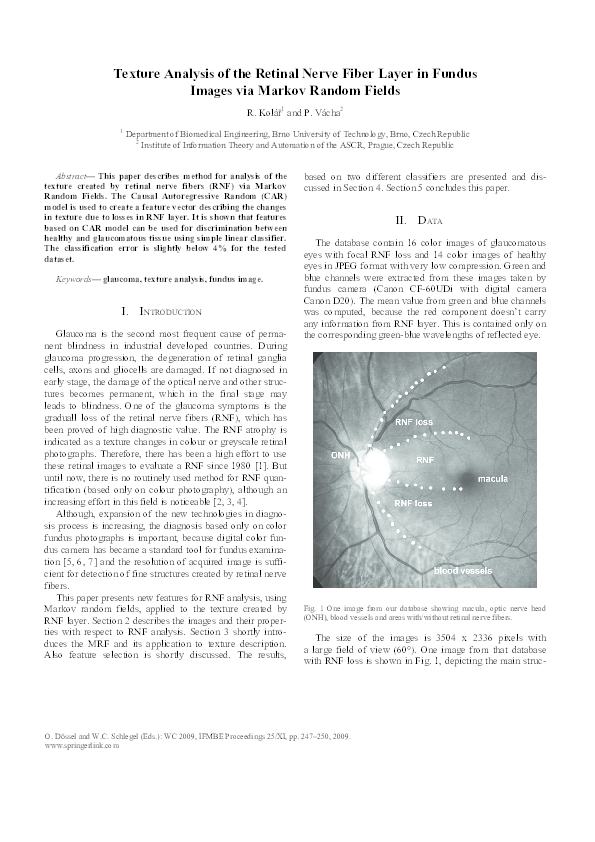 (PDF) Texture analysis of the retinal nerve fiber layer in fundus ...