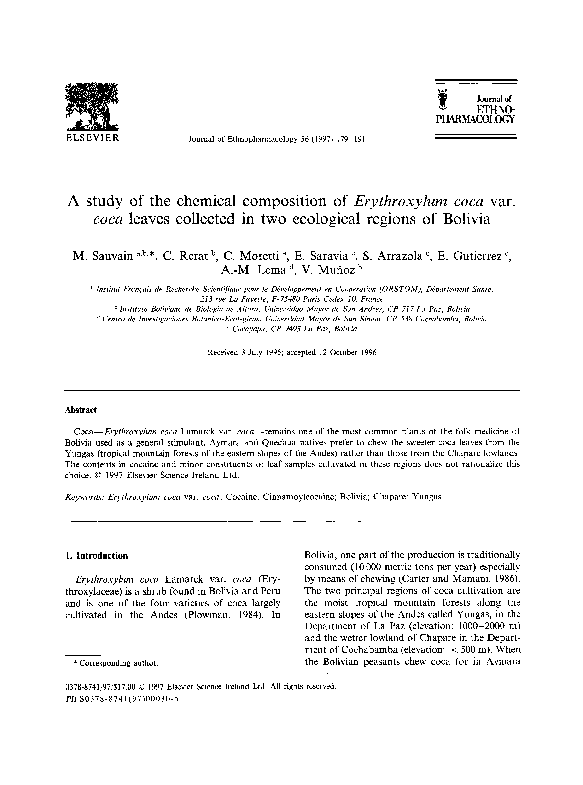 Erythroxylum coca essay image
