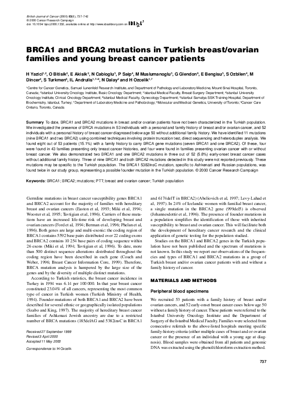 (PDF) BRCA1 and BRCA2 mutations in Turkish breast/ovarian families and ...