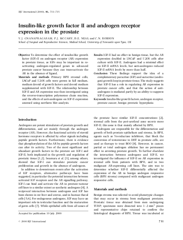 (PDF) Insulin-like growth factor II and androgen receptor expression in ...