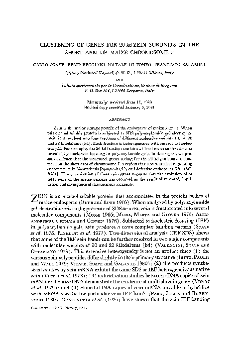Chromosome function picture