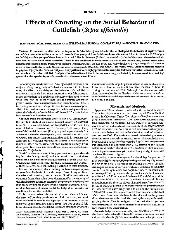 (PDF) Effects of Crowding on the Social Behavior of Cuttlefish (Sepia ...