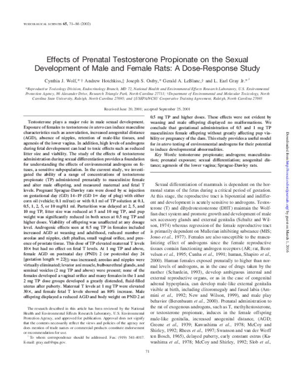 Amlin gray gerald weales essay 02 picture