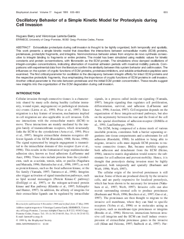 (PDF) Oscillatory Behavior of a Simple Kinetic Model for Proteolysis ...