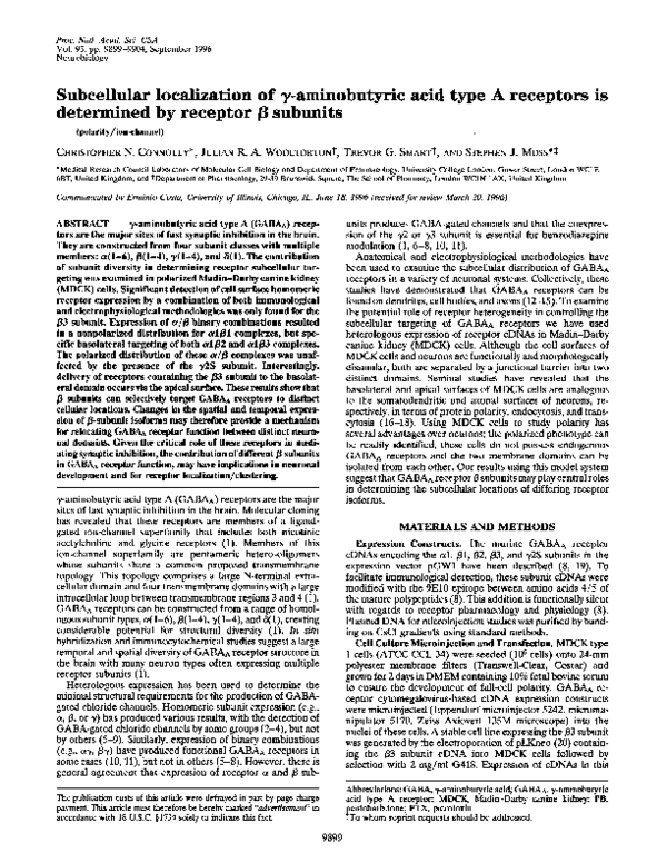 (PDF) Subcellular localization of gamma-aminobutyric acid type A ...