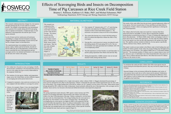 (PDF) Effects of Scavenging Birds and Insects on Decomposition Time of ...