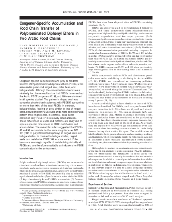 Food chain in ecosystem notes image