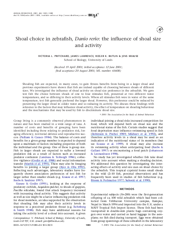 (PDF) Shoal choice in zebrafish, Danio rerio: the influence of shoal ...