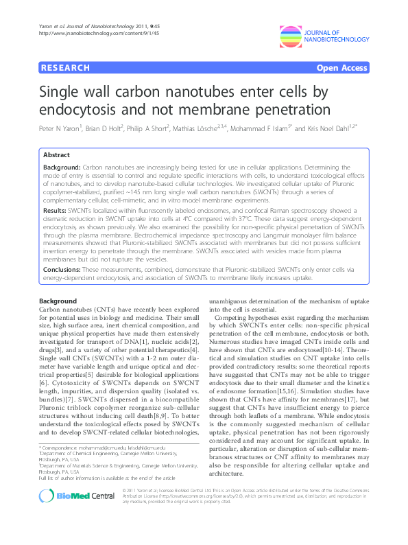 (PDF) Single wall carbon nanotubes enter cells by endocytosis and not ...