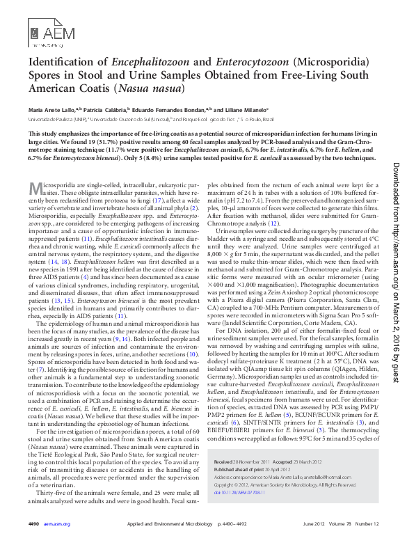 Encephalitozoon Intestinalis Pdf