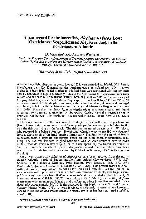 (PDF) A new record for the lancetfish, Alepisaurus ferox Lowe