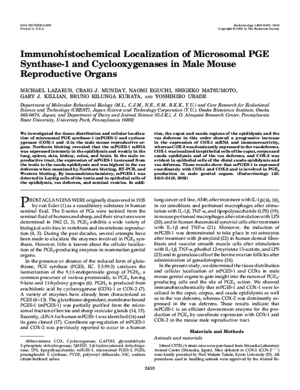 (PDF) Immunohistochemical Localization of Microsomal PGE Synthase-1 and ...