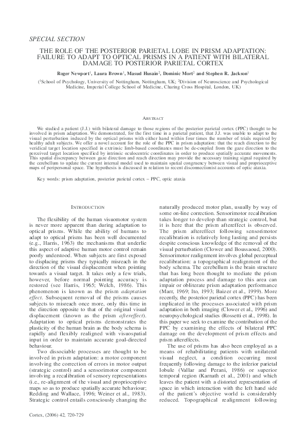 (PDF) The Role of the Posterior Parietal Lobe in Prism Adaptation ...