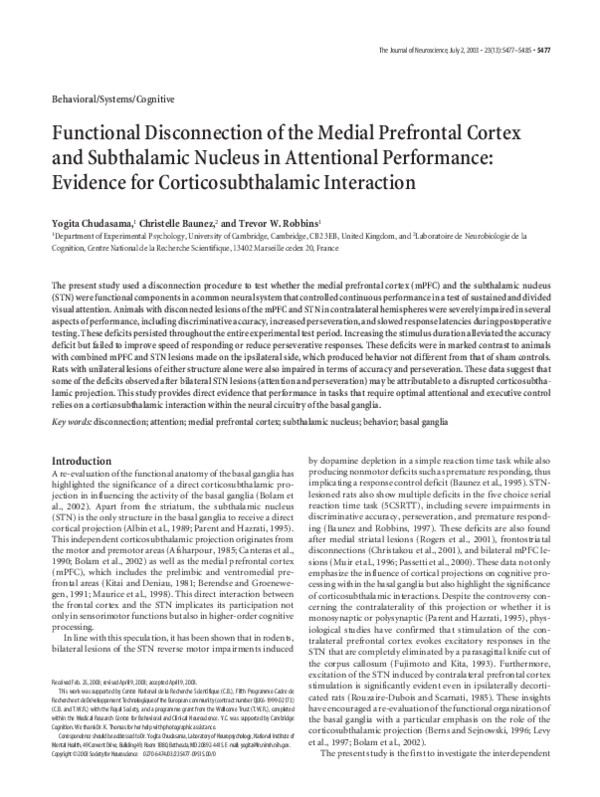 (PDF) Functional disconnection of the medial prefrontal cortex and ...