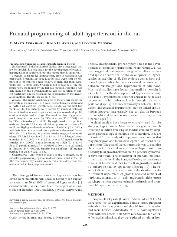 (PDF) Prenatal programming of adult hypertension in the rat