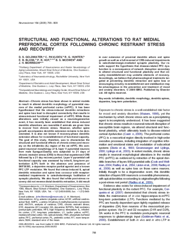 (PDF) Structural and functional alterations to rat medial prefrontal ...
