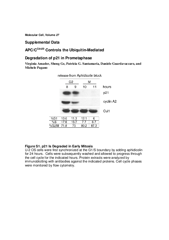 (PDF) APC/CCdc20 Controls the Ubiquitin-Mediated Degradation of p21 in ...