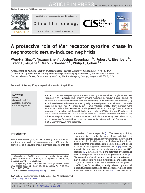 (PDF) A protective role of Mer receptor tyrosine kinase in nephrotoxic ...