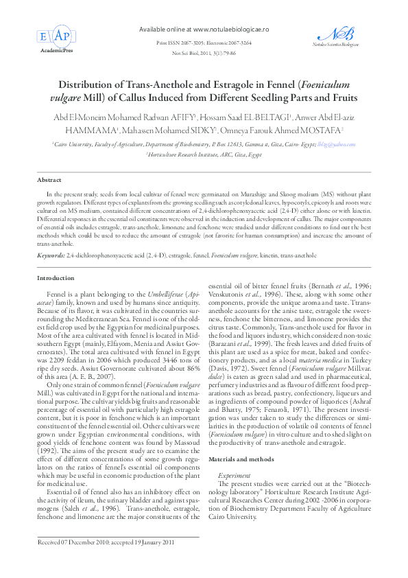 Fennel scientific name image