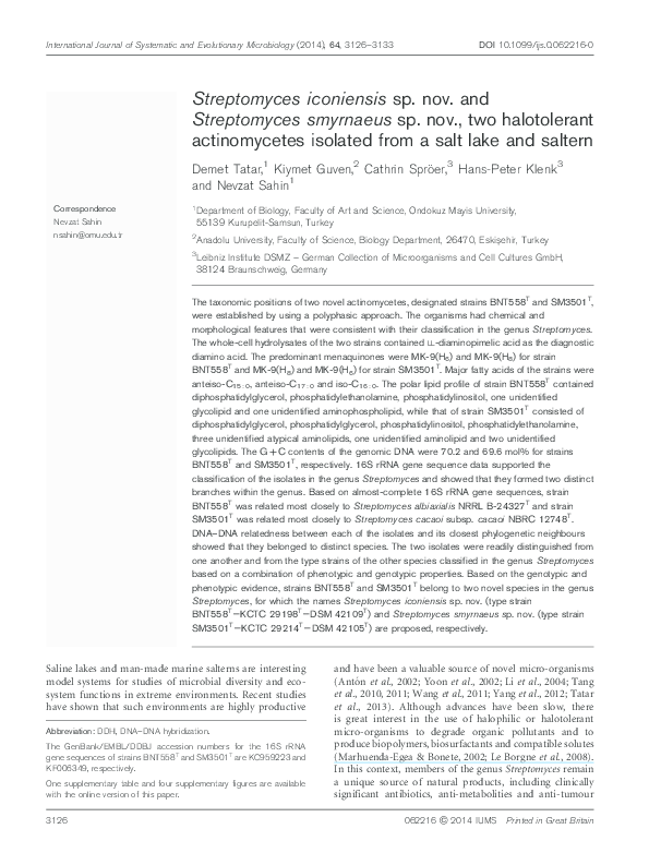 Thesis on streptomyces 06 picture