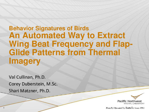 (PDF) Behavior Signatures of Birds: An Automated Way to Extract Wing ...