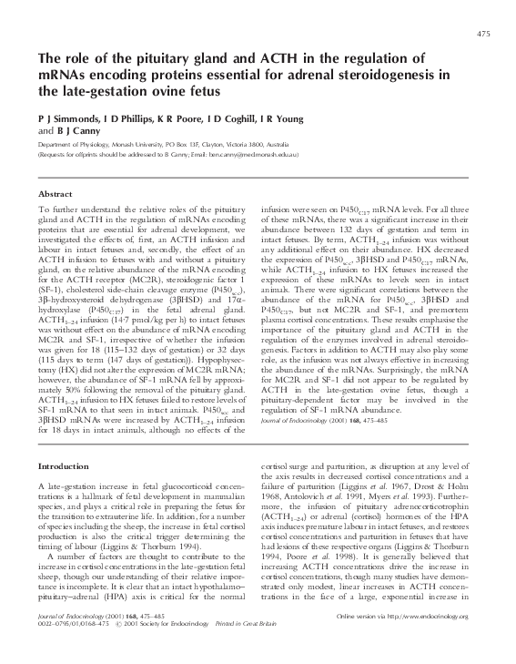 Pituitary gland hormones image