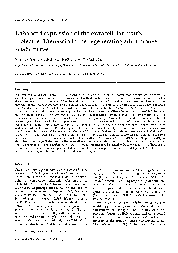 (PDF) Enhanced expression of the extracellular matrix molecule J1 ...