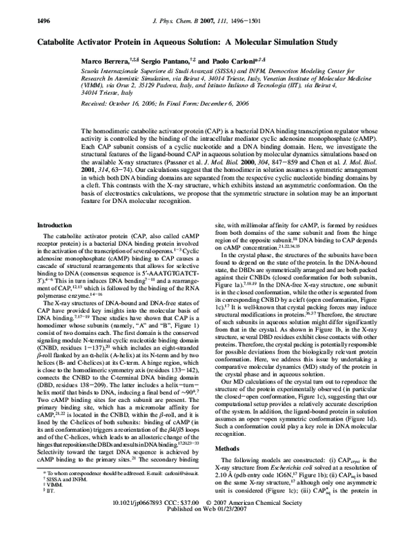 (PDF) Catabolite Activator Protein in Aqueous Solution: A Molecular ...