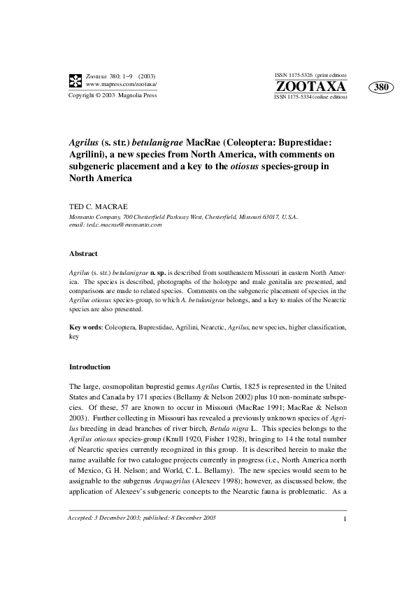 (PDF) Agrilus (s. str.) betulanigrae MacRae (Coleoptera Buprestidae