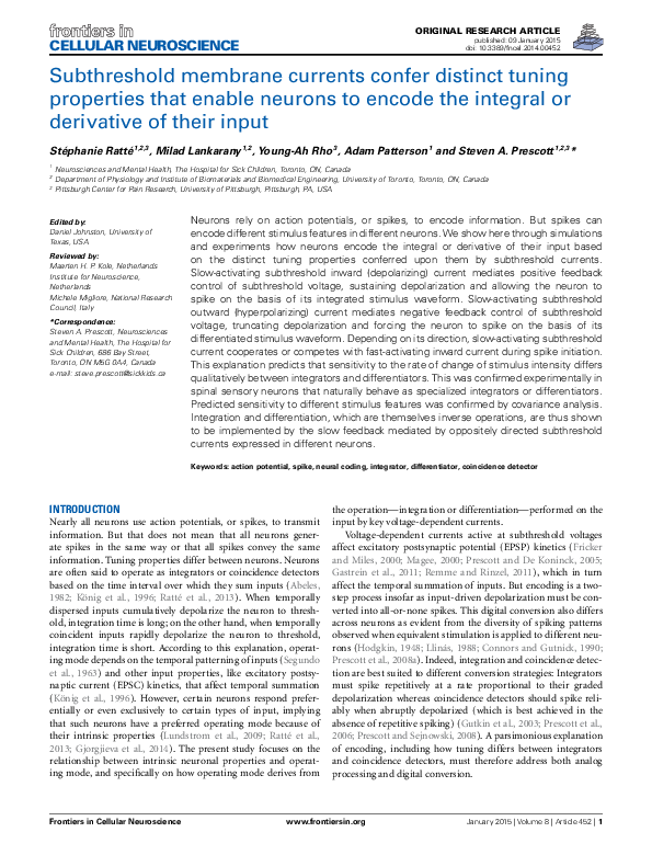 (PDF) Subthreshold membrane currents confer distinct tuning properties ...
