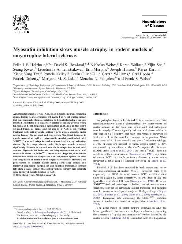 (PDF) Myostatin inhibition slows muscle atrophy in rodent models of ...