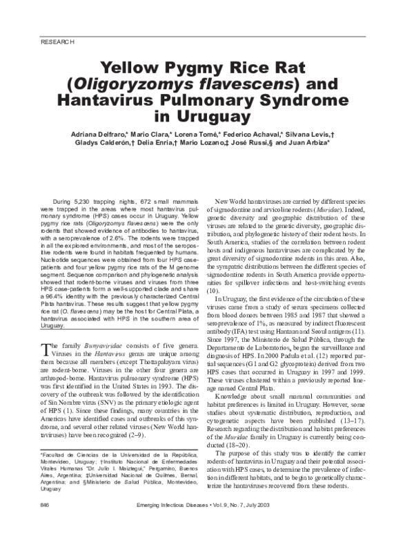 (PDF) Yellow Pygmy Rice Rat ( Oligoryzomys flavescens ) and Hantavirus ...