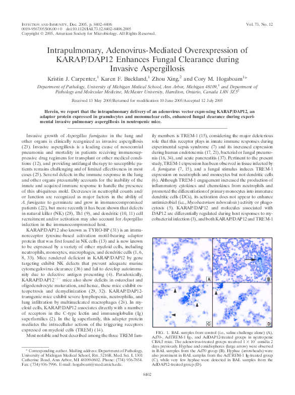 (PDF) Intrapulmonary, Adenovirus-Mediated Overexpression of KARAP/DAP12 ...