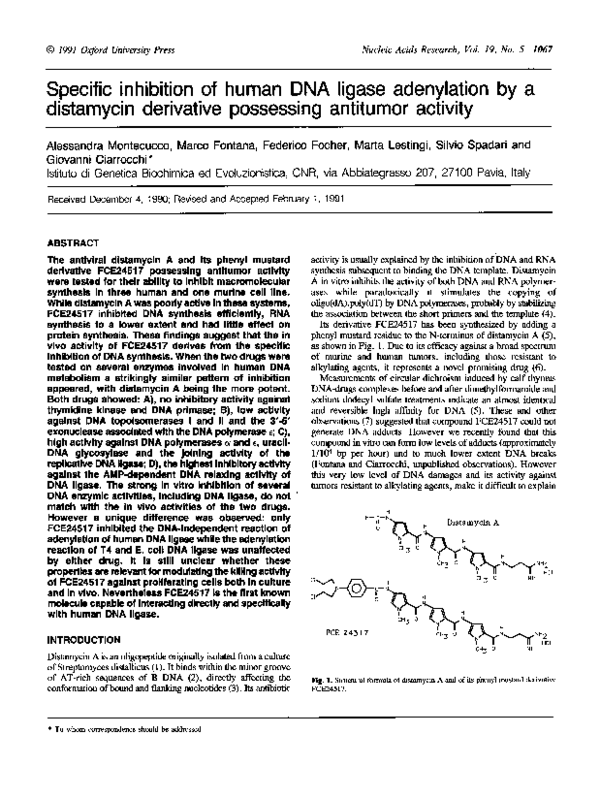 (PDF) Specific inhibition of human DNA ligase adenylation by a ...
