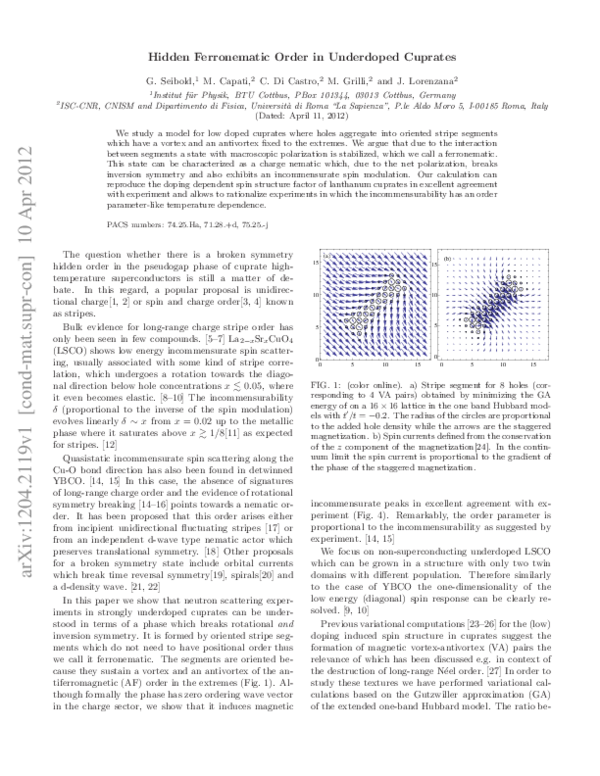 (PDF) Hidden ferronematic order in underdoped cuprates