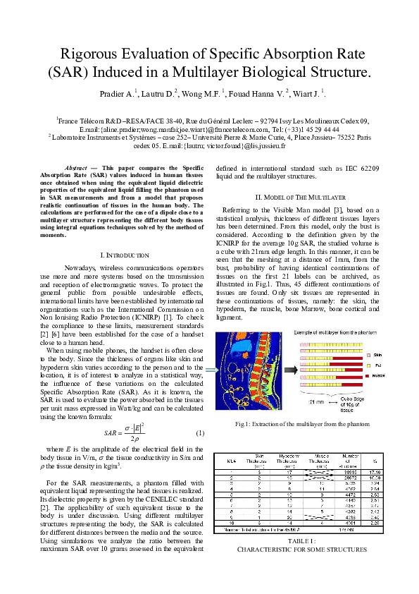 (PDF) Rigorous evaluation of specific absorption rate (SAR) induced in ...