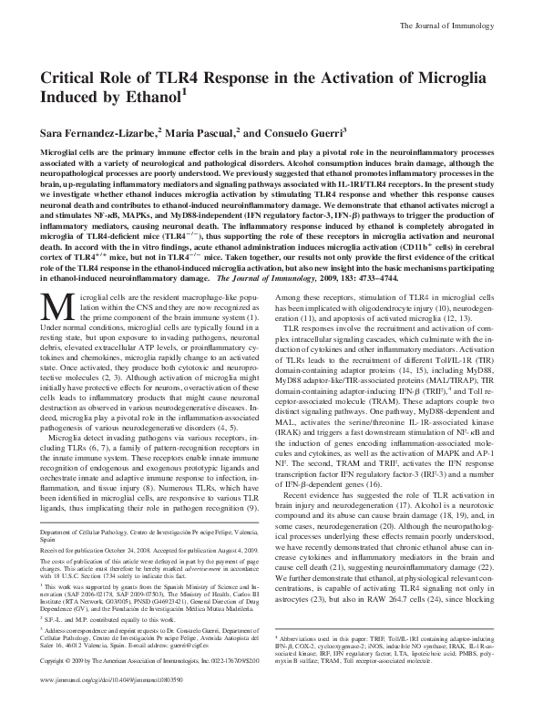 Consuelo critical essays 04 picture