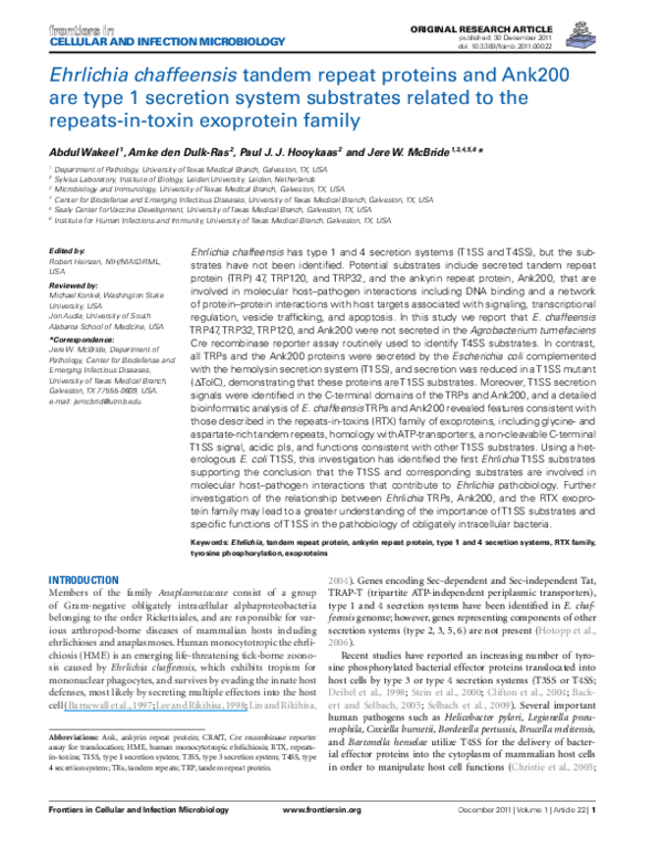 (PDF) Ehrlichia chaffeensis tandem repeat proteins and Ank200 are type ...