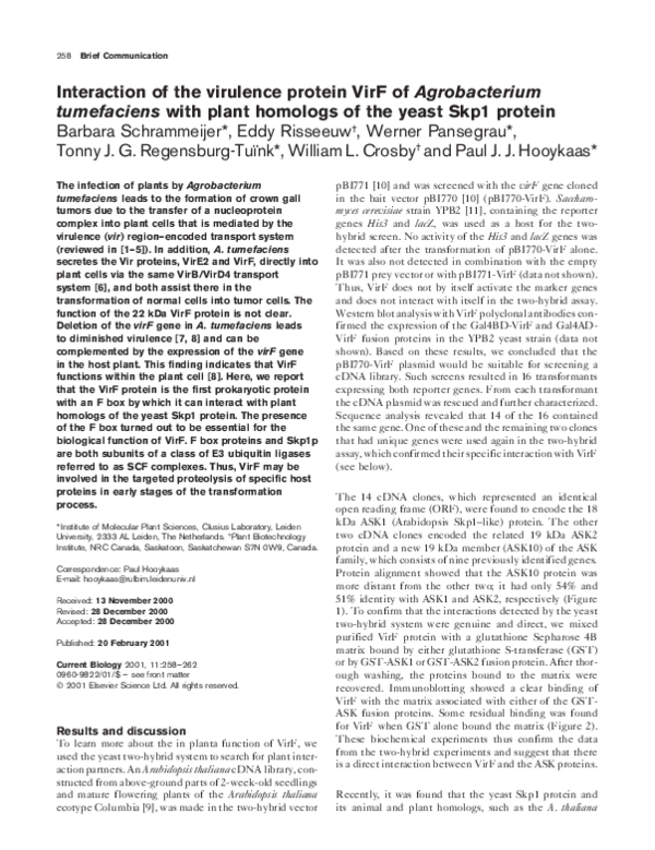 (PDF) Interaction of the virulence protein VirF of Agrobacterium ...