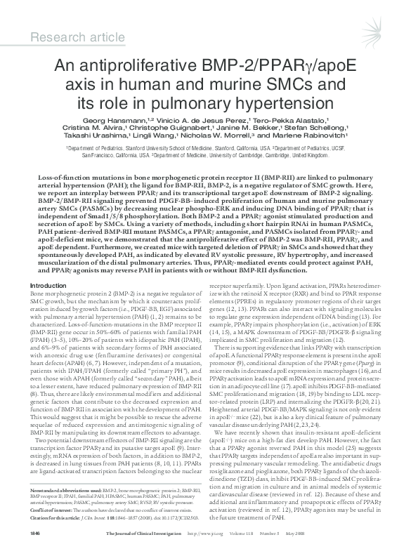 (PDF) An antiproliferative BMP-2/PPARγ/apoE axis in human and murine ...