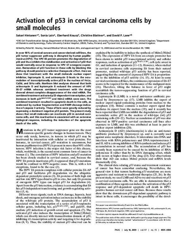 (PDF) Activation of p53 in cervical carcinoma cells by small molecules