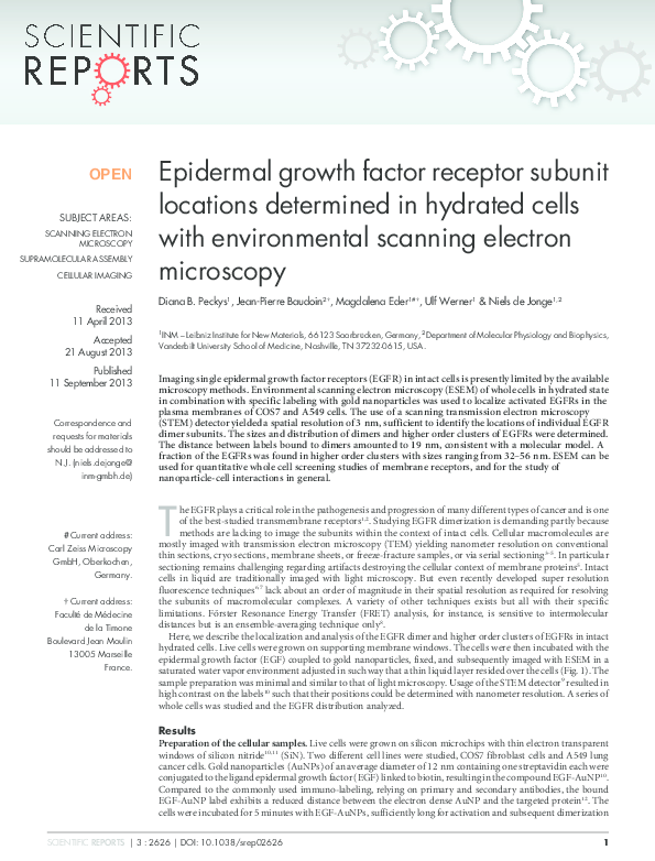 (PDF) Epidermal growth factor receptor subunit locations determined in ...