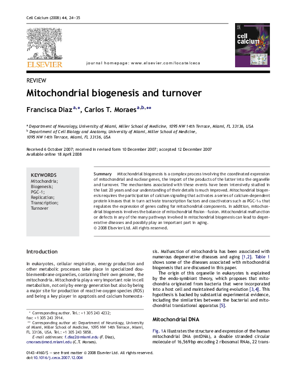 (PDF) Mitochondrial biogenesis and turnover