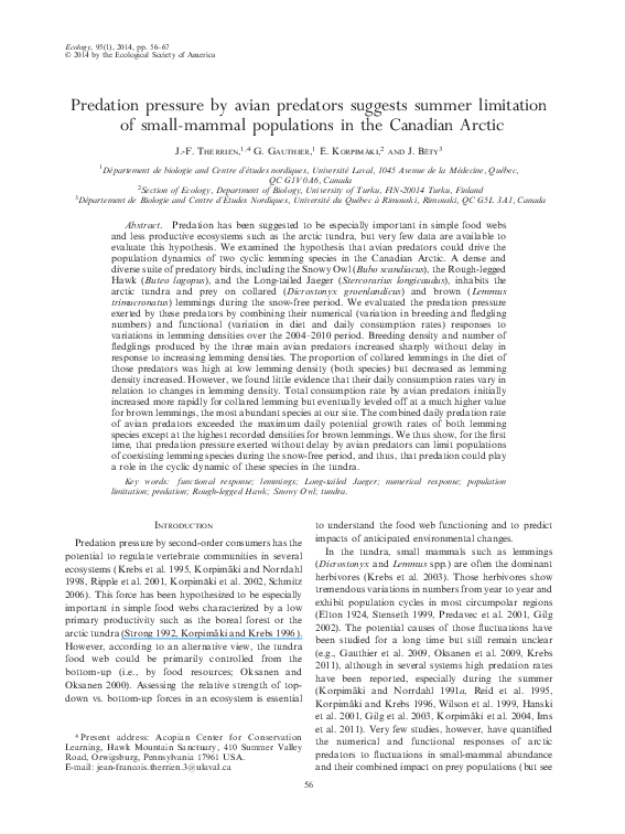 Internet predators facts picture